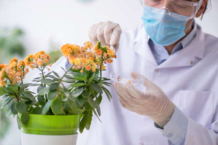 Young male chemist working in the labの写真素材