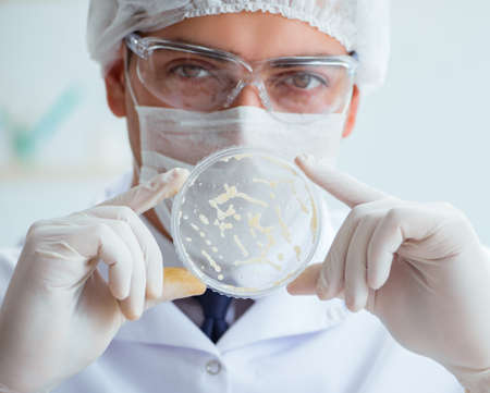 Female scientist researcher conducting an experiment in a laboratoryの写真素材