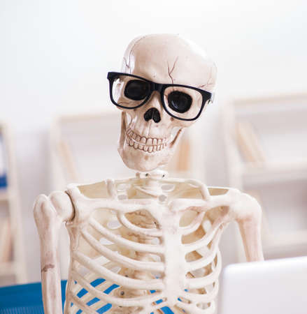 Skeleton businessman working in the officeの写真素材