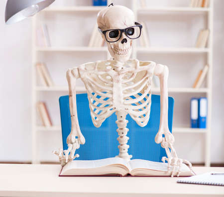 Student skeleton preparing for examsの写真素材