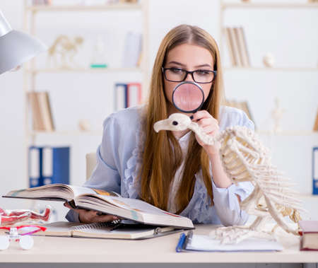 Student examining animal skeleton in classroomの写真素材