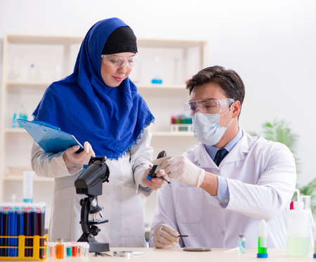Two chemists working in the labの写真素材
