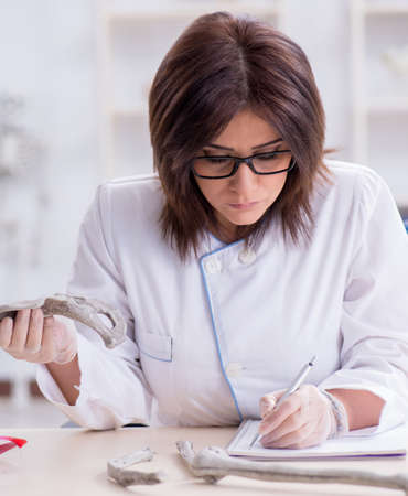 Doctor working in the lab on skeletonの写真素材
