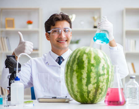 Scientist testing watermelon in labの写真素材