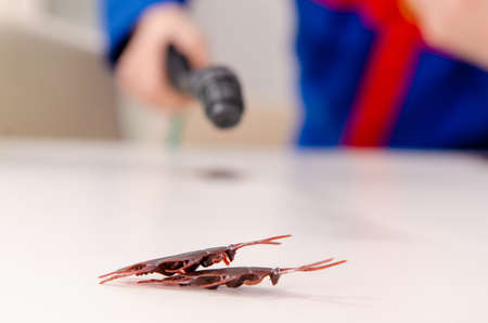 The young contractor doing pest control at home