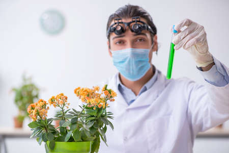 Young male chemist working in the labの写真素材