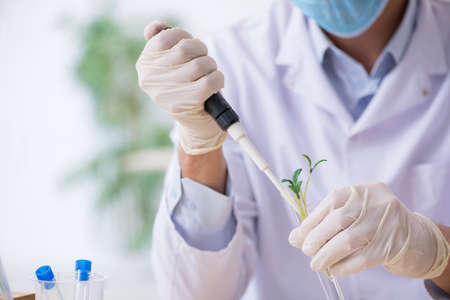 Young male chemist working in the lab