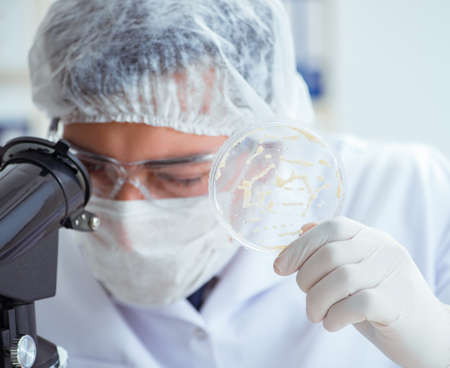 Doctor researching virus treatment in labの写真素材