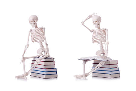 Skeleton reading books on whiteの写真素材