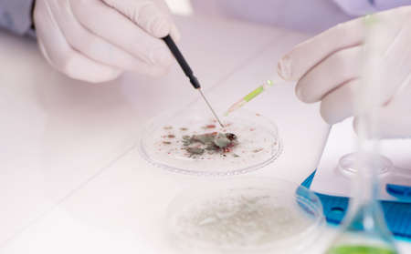 Male doctor working in the lab on virus vaccine