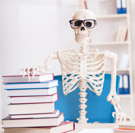 Student skeleton preparing for examsの写真素材
