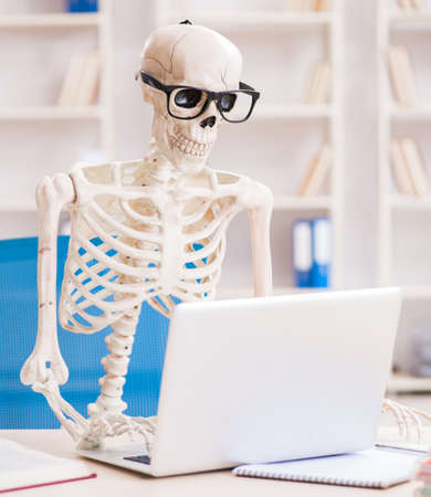 Skeleton businessman working in the officeの写真素材