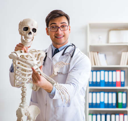 Yong male doctor with skeleton isolated on whiteの写真素材
