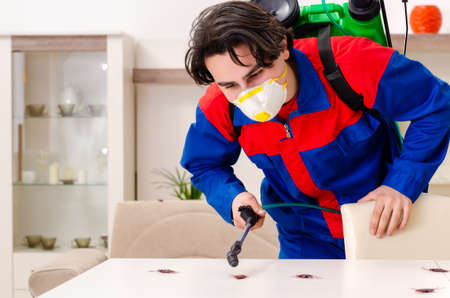 Young contractor doing pest control at homeの写真素材