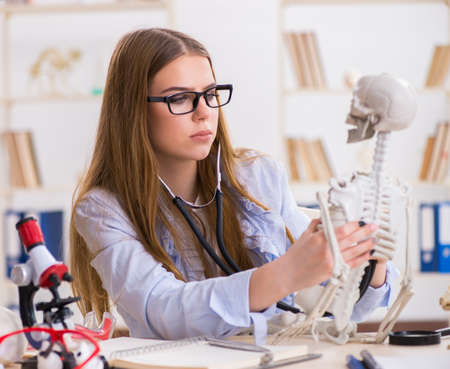 Student sitting in classroom and studying skeletonの写真素材