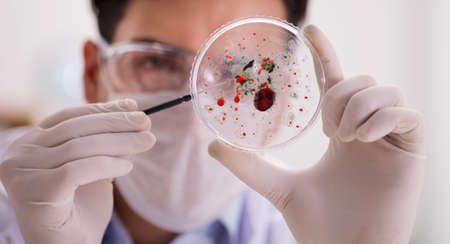 Male doctor working in the lab on virus vaccine