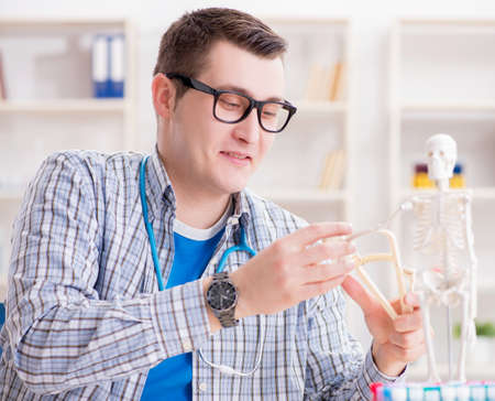 Medical student studying skeleton in classroom during lectureの写真素材