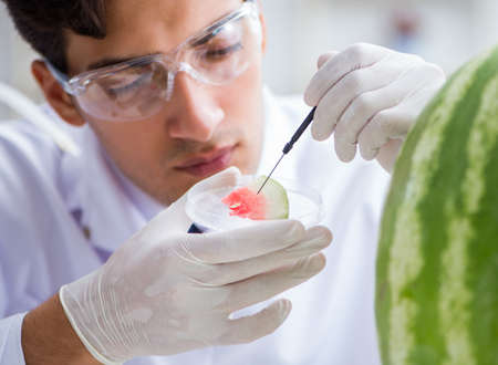Scientist testing watermelon in labの写真素材