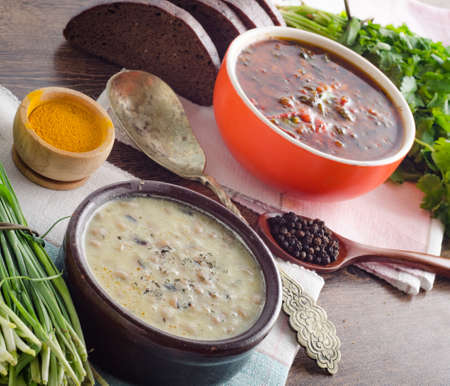 Borsch and mushroom soup served on tableの写真素材