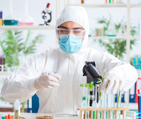 Male biochemist working in the lab on plants