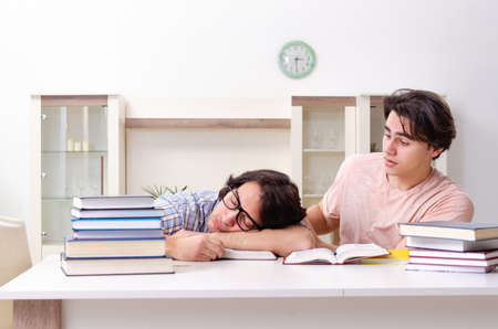 Two male students preparing for exams at homeの写真素材