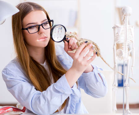 Student examining animal skeleton in classroomの写真素材