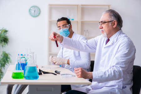 Two chemists working in the labの写真素材