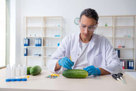 Male nutrition expert testing vegetables in labの写真素材