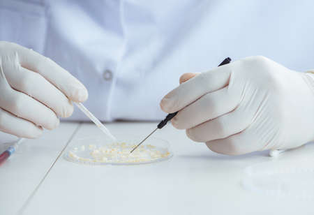 Female scientist researcher conducting an experiment in a laboraの写真素材
