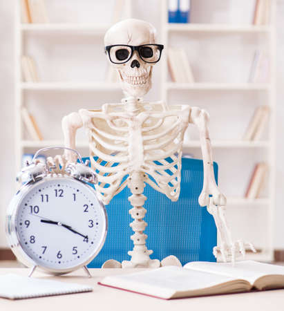The skeleton businessman working in the officeの写真素材