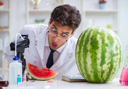Scientist testing watermelon in labの写真素材