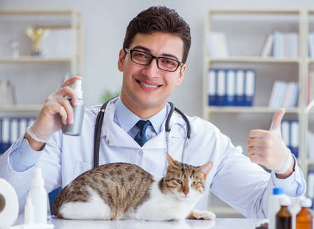 Cat visiting vet for regular checkupの写真素材