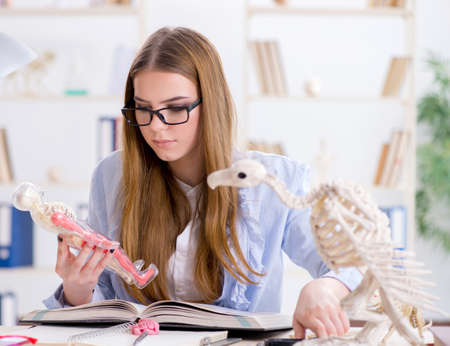 Student examining animal skeleton in classroomの写真素材