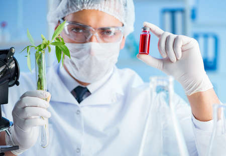 Biotechnology concept with scientist in labの写真素材