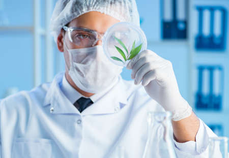 Female scientist researcher conducting an experiment in a laboraの写真素材
