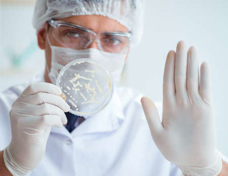 Female scientist researcher conducting an experiment in a laboraの写真素材