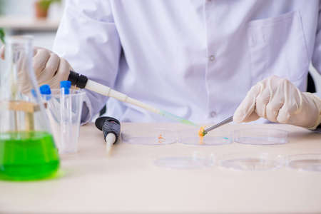 Young male chemist working in the lab