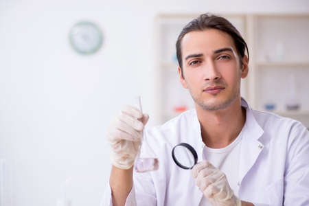 Young male chemist working in the labの写真素材