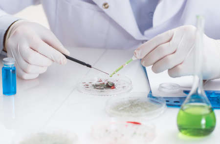 Male doctor working in the lab on virus vaccine