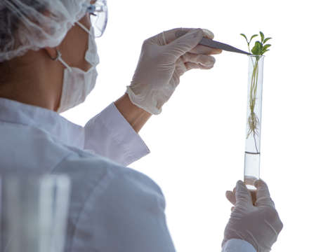 Female scientist researcher conducting an experiment in a labora