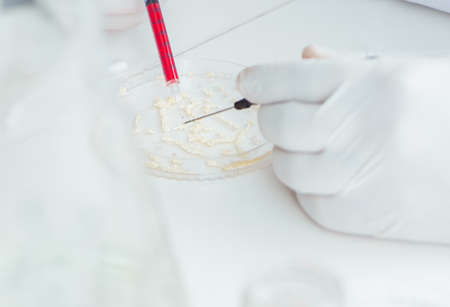 Female scientist researcher conducting an experiment in a laboratory