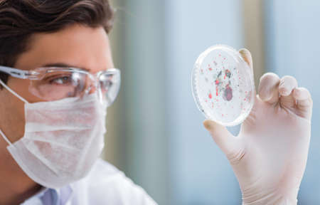Male doctor working in the lab on virus vaccine