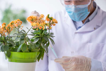 The young male chemist working in the labの写真素材