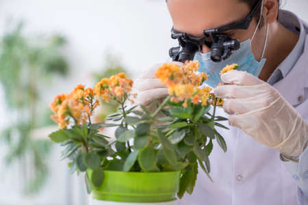 Young male chemist working in the lab