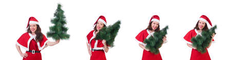 Snow girl santa in christmas concept isolated on whiteの写真素材