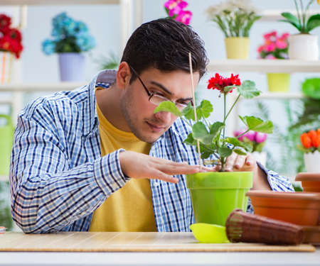 Young man florist working in a flower shopの写真素材