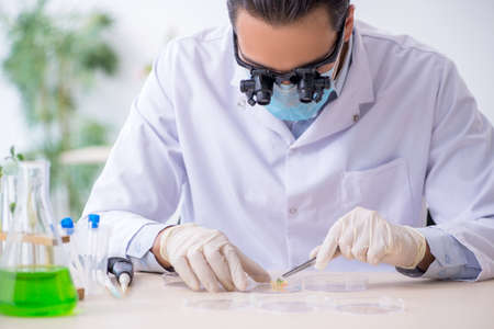 The young male chemist working in the lab