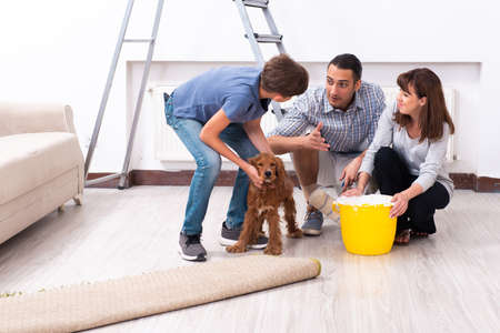 Young family doing home renovationの写真素材