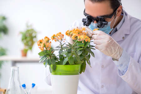 The young male chemist working in the labの写真素材