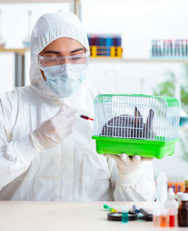 Scientist doing testing on animals rabbitの写真素材